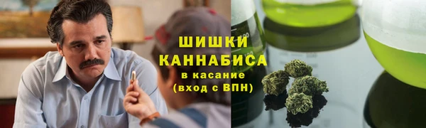 ПСИЛОЦИБИНОВЫЕ ГРИБЫ Верхний Тагил