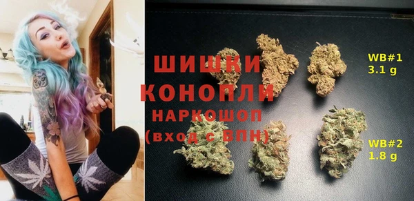 ПСИЛОЦИБИНОВЫЕ ГРИБЫ Верхний Тагил