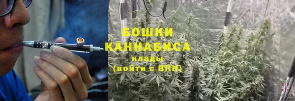 прущая мука Верея