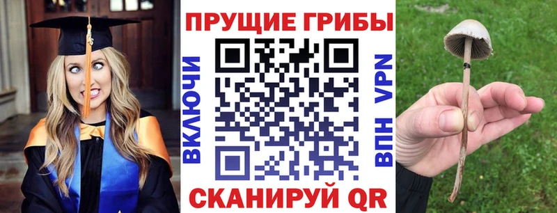 Псилоцибиновые грибы прущие грибы  Катав-Ивановск 